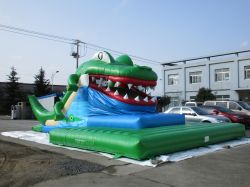 Snappy Kroko  9x5x4m